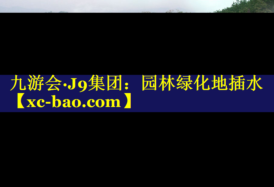 园林绿化地插水