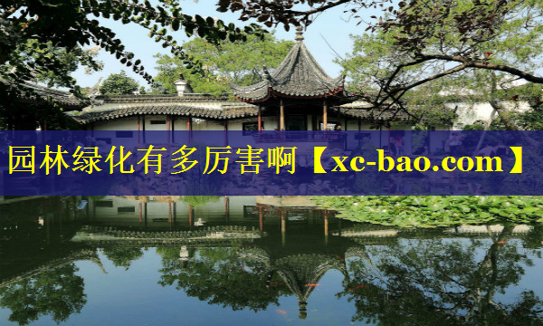 园林绿化有多厉害啊