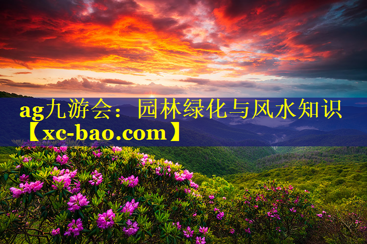 园林绿化与风水知识
