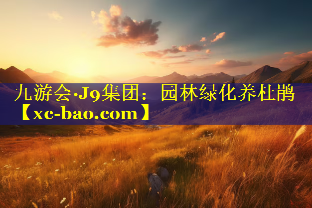 园林绿化养杜鹃
