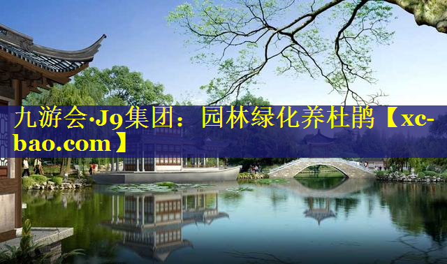 园林绿化养杜鹃