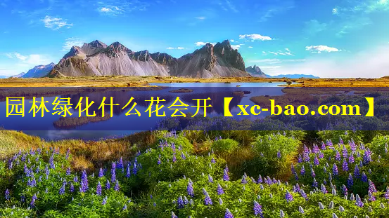 园林绿化什么花会开