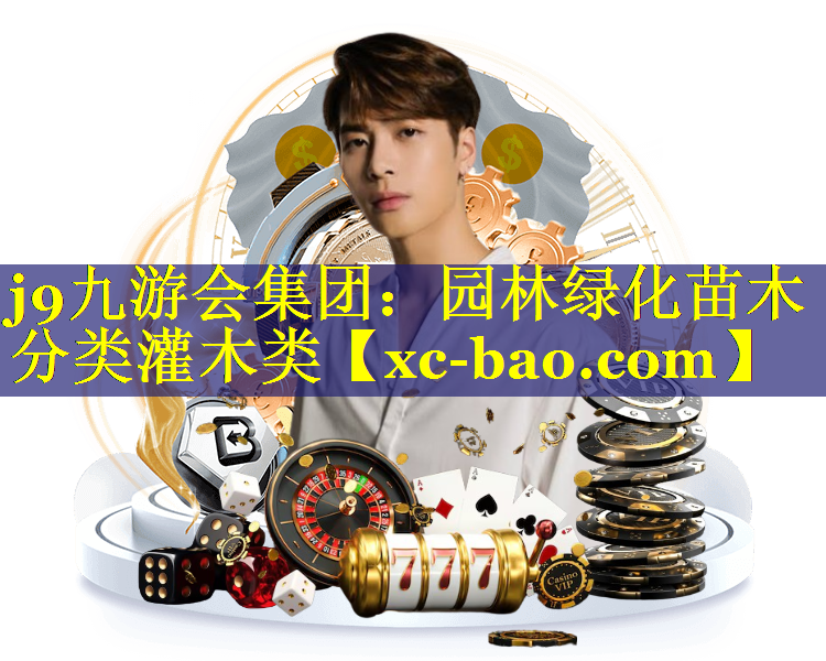 园林绿化苗木分类灌木类