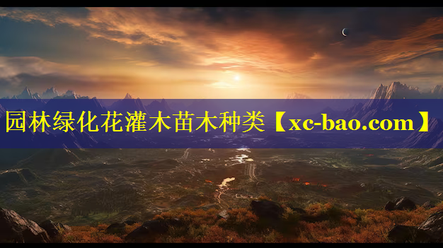 园林绿化花灌木苗木种类